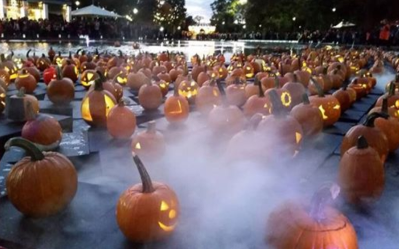 Thousands of pumpkins, real and fake, to illuminate Fairmount Park