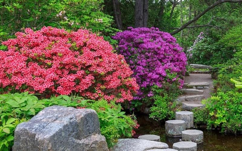 Find Your Zen At This Gorgeous Japanese Garden In Maine