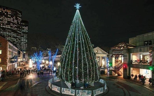 3 Boston Tree Lighting Ceremonies You Won't Want To Miss