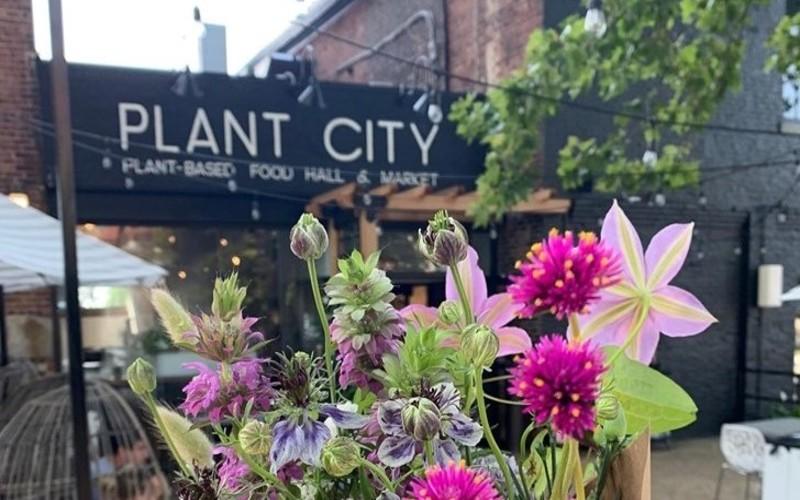 Providence's Plant City Will Completely Change The Way You Look At Vegan Food