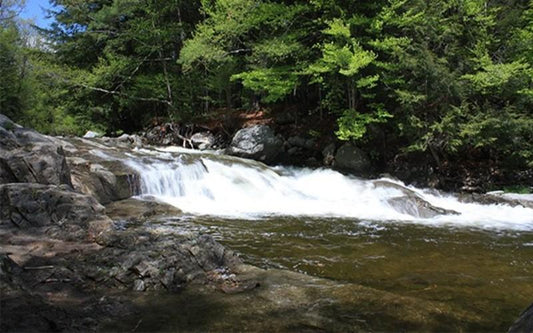 3 Of New England's Best Swimming Holes Are Right Here In Massachusetts