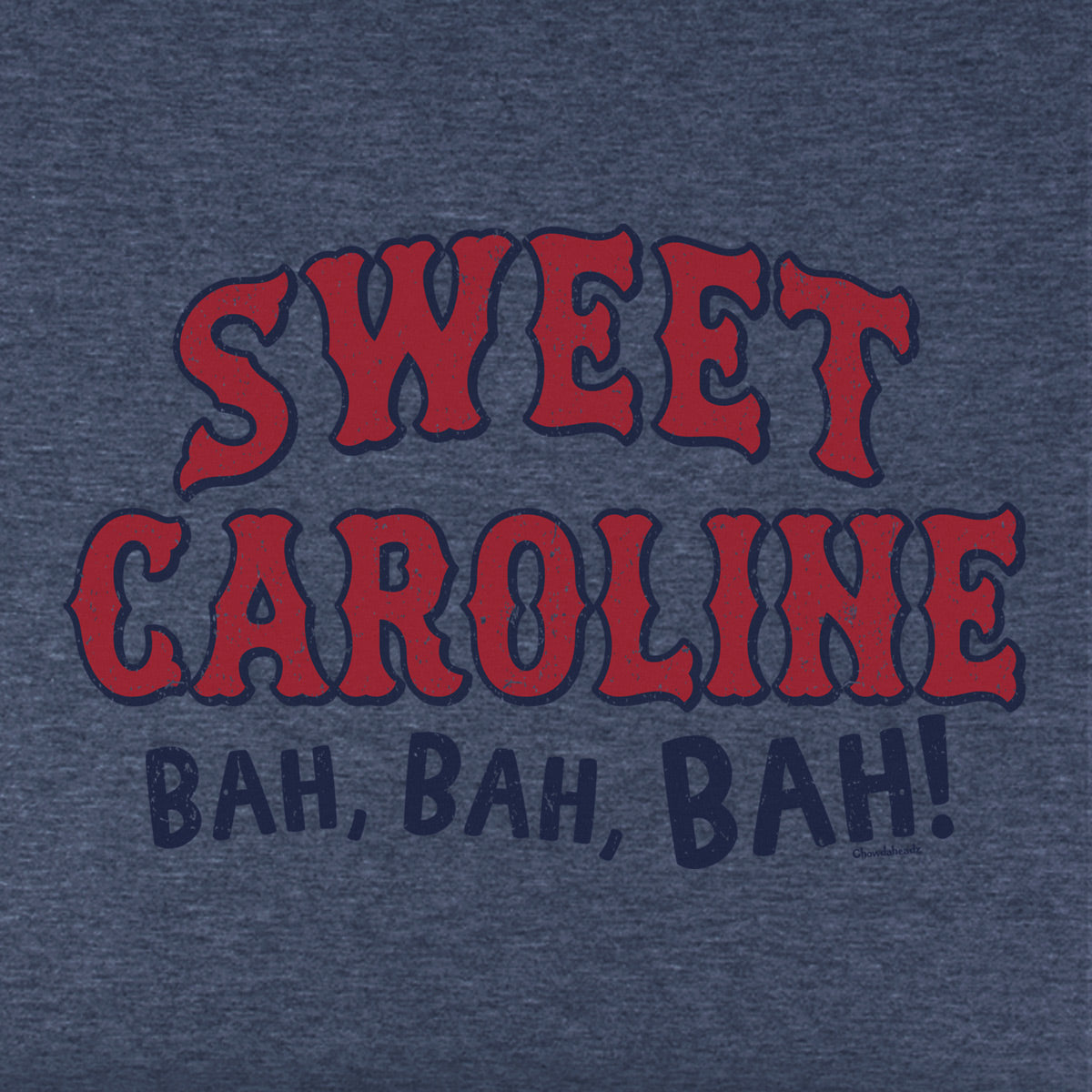 Sweet Caroline Baseball Arch Youth Hoodie - Chowdaheadz