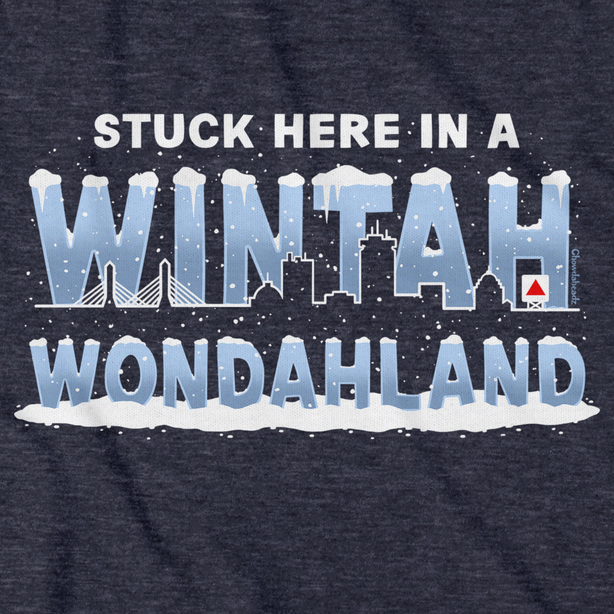 Stuck Here In A Wintah Wondahland Youth T-Shirt